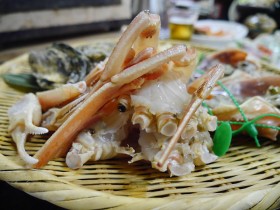 IMG_9087